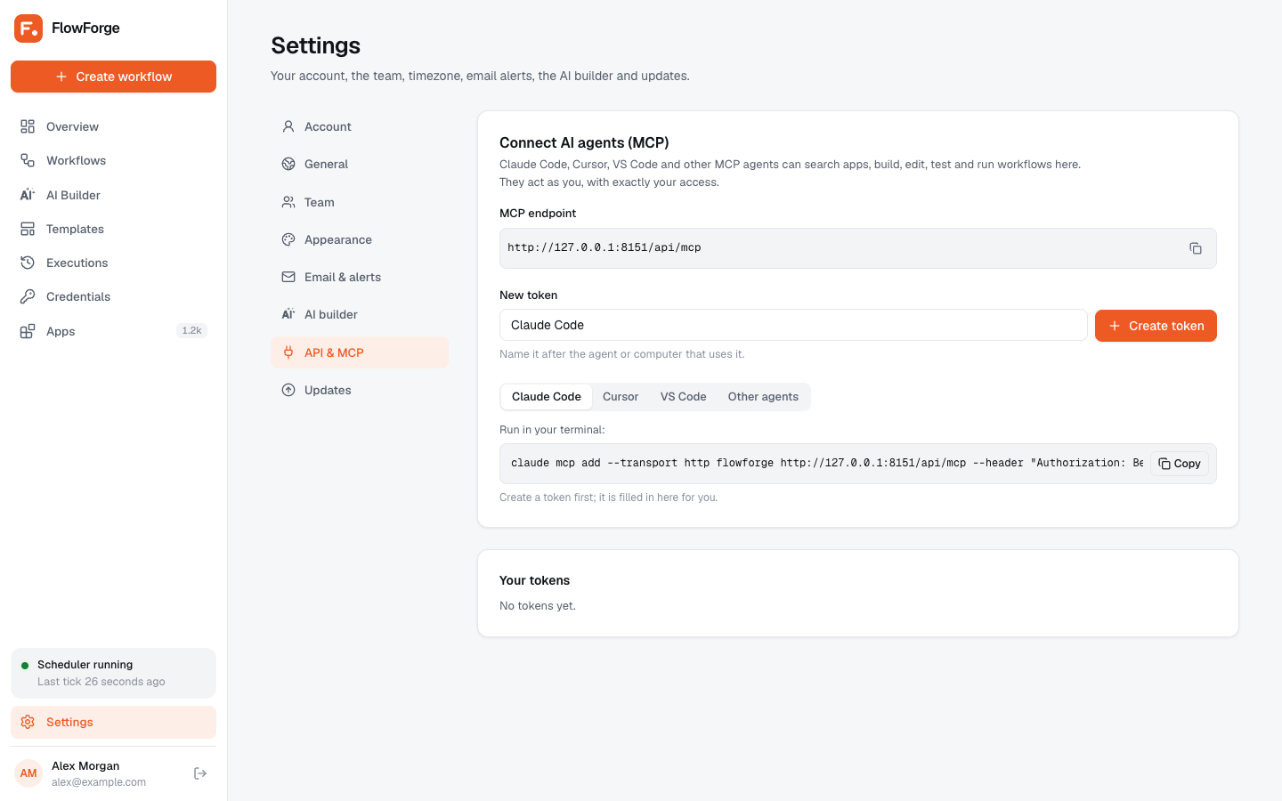 Settings, API and MCP tab
